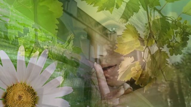 24 декабря 2022 г. смотреть онлайн