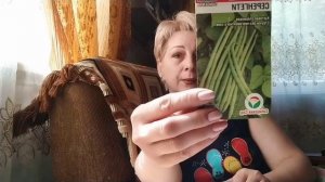 Сажаем спаржевую фасоль.