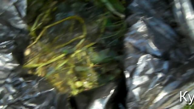 Делаем Компост в мешках - Кушнаренко Марзия смотреть онлайн