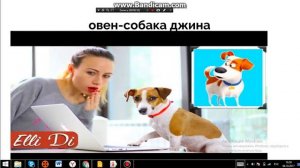 кто ты по знаку зодиака из популярных блогеров