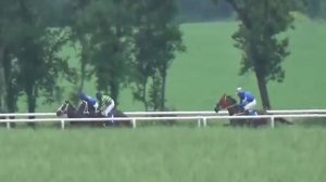 22.05 - Приз Майский (1200 м)