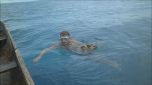 Погружение под воду без акваланга | Фридайвинг