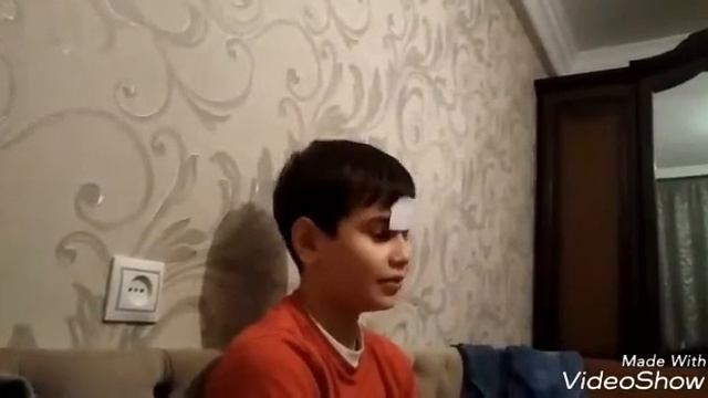 Челендж угадай животное смотреть онлайн