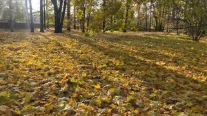 Уходящее лето