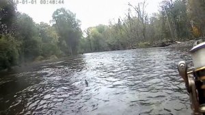 Ловля ленка на малых реках