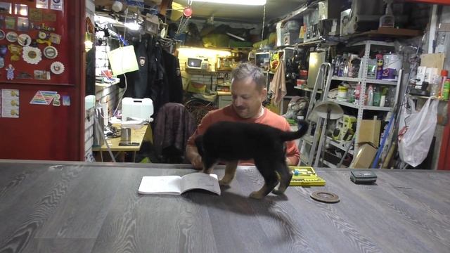 Строим дом на колёсах Часть 8 Стена смотреть онлайн