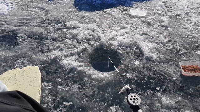 Зимняя🌨 рыбалка🎣 на льду🧊. Ловим 🐟 Подпишись и поддержи комментарием ✌ #рыбалка #рыбалкаиохота #уло