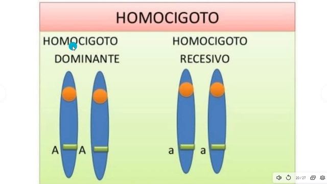 Bases físicas de la herencia смотреть онлайн