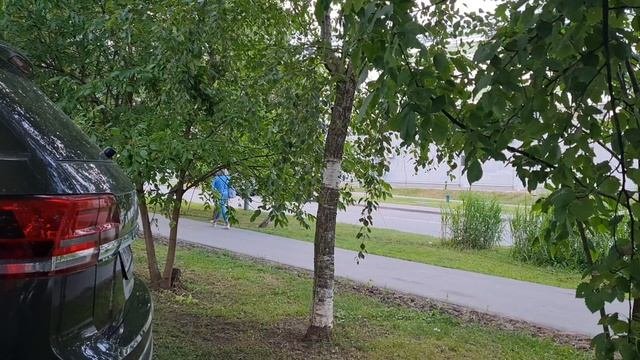 Незнакомка