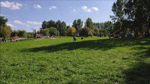 #ЭкоДог2019 I.mp4