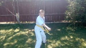 Техника на 10 кю ( карате киокусинкай)