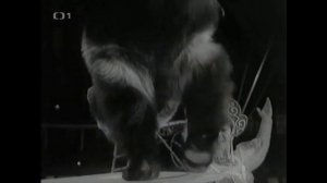 Гарик Сукачёв - О Чём Поёт Гитара... (Circus Animal Trainer's Clip)