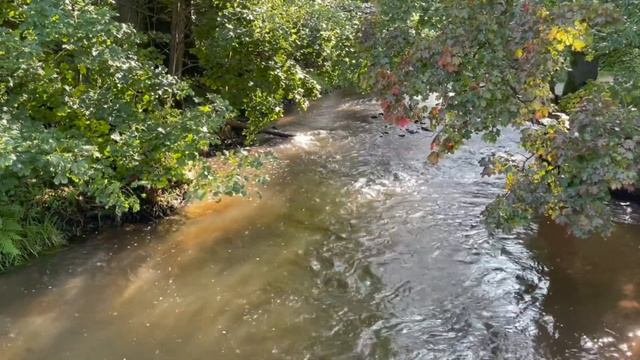 ФАНТАСТИЧЕСКАЯ МУЗЫКА и НЕОБЫКНОВЕННАЯ природа вдохновит, воодушевит, успокоит, создаст настроение. смотреть онлайн