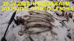 РЫБАЛКА НА СПИННИНГ. ЩУКА, ХАРИУС. ПРОДОЛЖАЕМ ЗАКРЫТИЕ ЛЕТНЕГО СЕЗОНА 2020. РЫБАЛКА НА МАЛОЙ РЕКЕ