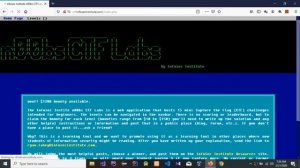 Infosec Institute CTF Labs | Infosec Institute CTF ALL Lab Levels