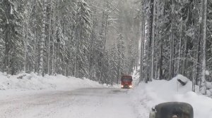 Лесовозы Iveco. Timber transporters Iveco Trakker drive a forest