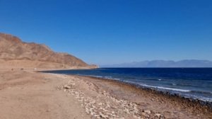 Египет, Шарм-Эль-Шейх 12.2023 Pickalbatros Laguna Vista 5*