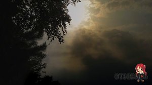 Ушел в лес и не вернулся. Удивительные истории из жизни парня.