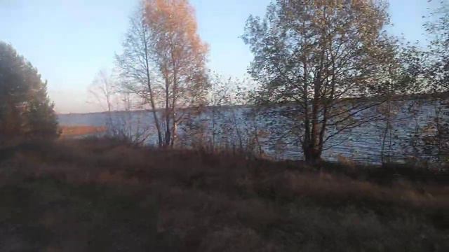 волга