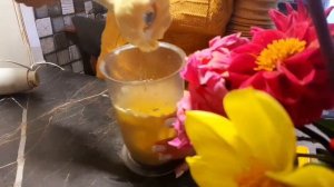 вкусный соус-майонез#идеально для картофеля#рыбы#сухариков