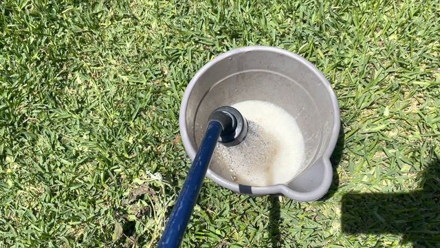 How I Handle Pests  Disease In My Garden   Garden Pests  Pest Disease Control In The Garden