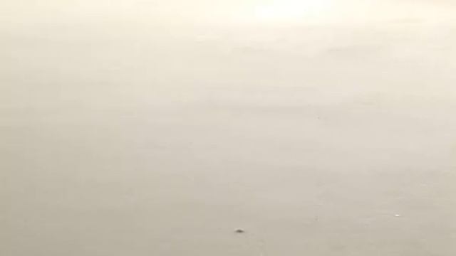 Как сделать ровный наливной пол своими руками?