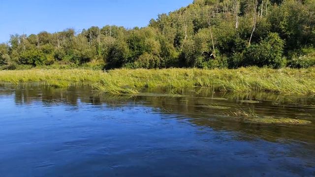 Танго-кэмп Айкролик 29-30 июля 2023 смотреть онлайн