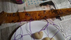 Как избавиться от Моли how to get rid of moths