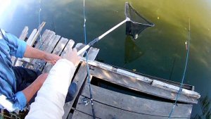 Ловля КАРАСЯ В ОКТЯБРЕ // Крупный КАРАСЬ на пенопласт / РЫБАЛКА ОСЕНЬЮ 2020