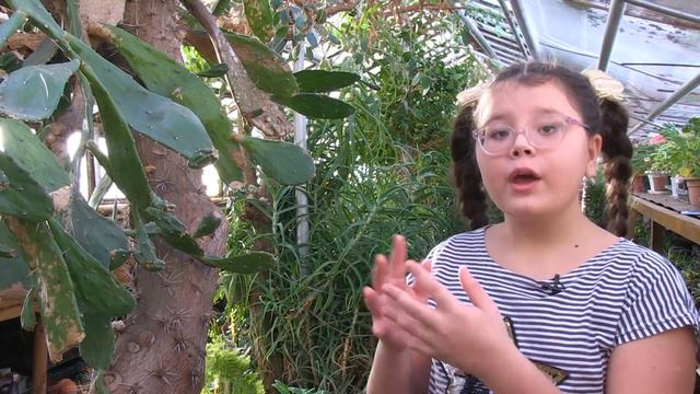 Оранжерея смотреть онлайн