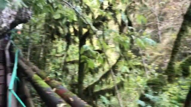 Бани народов мира. Поход Пасть дракона. Сочи смотреть онлайн