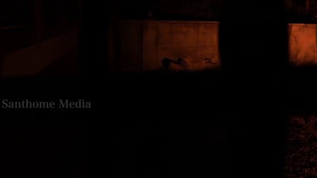 Malayalam Short Film 2019| Niravinte Santa| നിറവിന്റെ സാന്ത | Santhome Media смотреть онлайн