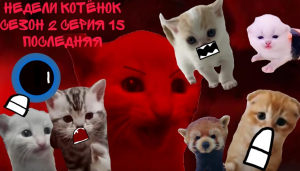 Недели котёнок сезон 2 серия 15 Последняя