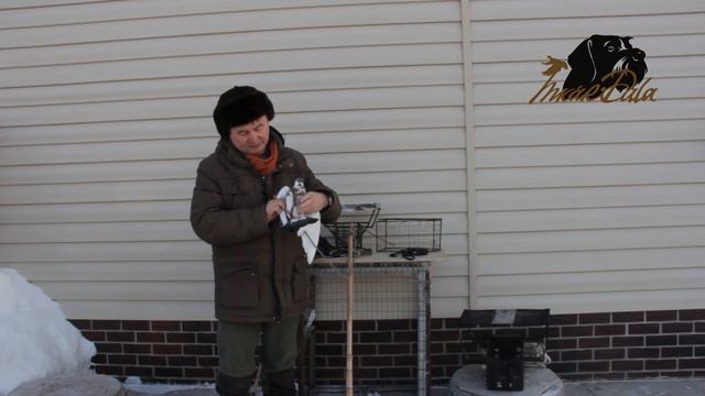 Урок 1 Подготовка легавой к полевой работе (Урок 1)15.01.19 смотреть онлайн