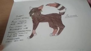 Обзор скетчбука|Коты-Воители|Теневая Звезда|