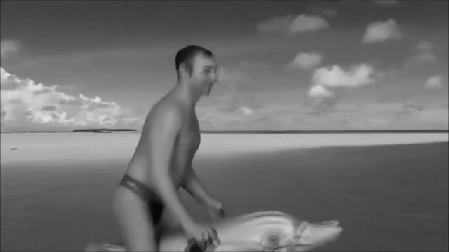 пистолетов скачет на дельфине под грустную музыку из четвертых героев мп4 смотреть онлайн