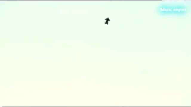 Улетающий. Сергей Чекалин. Departing. Sergey Chekalin.