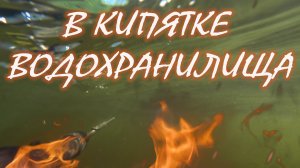 есть ли амур в горячей воде ДВХ.mp4