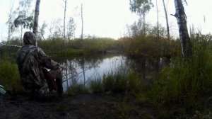 Ловля карася на карерах Шатурторфа 24. 06. 18.