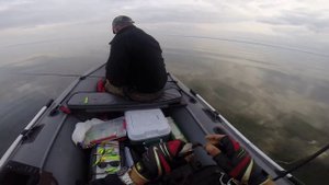 Влияние цвета приманки и веса головки на клев окуня