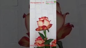 розы Мондиаль мастера Олеси Маловой на инструментах от Счастливой Компании