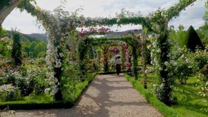 SHIZUOKA. Les Jardins de Bagatelle in Kawazu. #河津バガテル公園 #4K