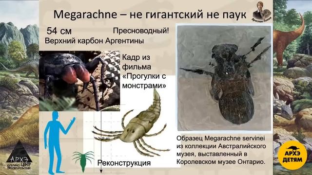 Занятие "Эра гигантских насекомых и не только" кружка "Динозавры и не только" с Ярославом Поповым