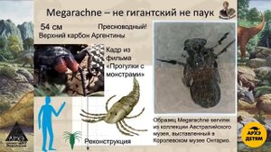 Занятие "Эра гигантских насекомых и не только" кружка "Динозавры и не только" с Ярославом Поповым