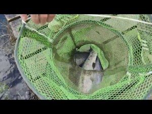 Рыбалка 10 апреля