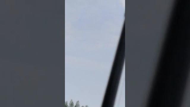 Платная рыбалка БРЫКИНО