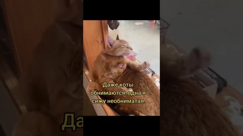 23 октября 2023 г.