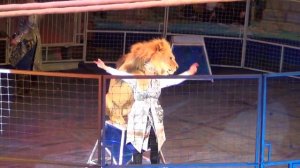 Аттракцион _В садах Ривенделла_ Ольга Борисова и Алексей Макаренко. Курский цирк.