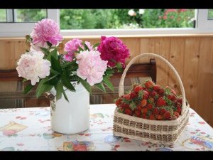 Красивая дача. Идеи обустройства ДАЧИ своими руками