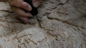 Фьорды Норвегии. Берген. Карта из дерева. Fjords of Norway. Bergen. A map made of wood.